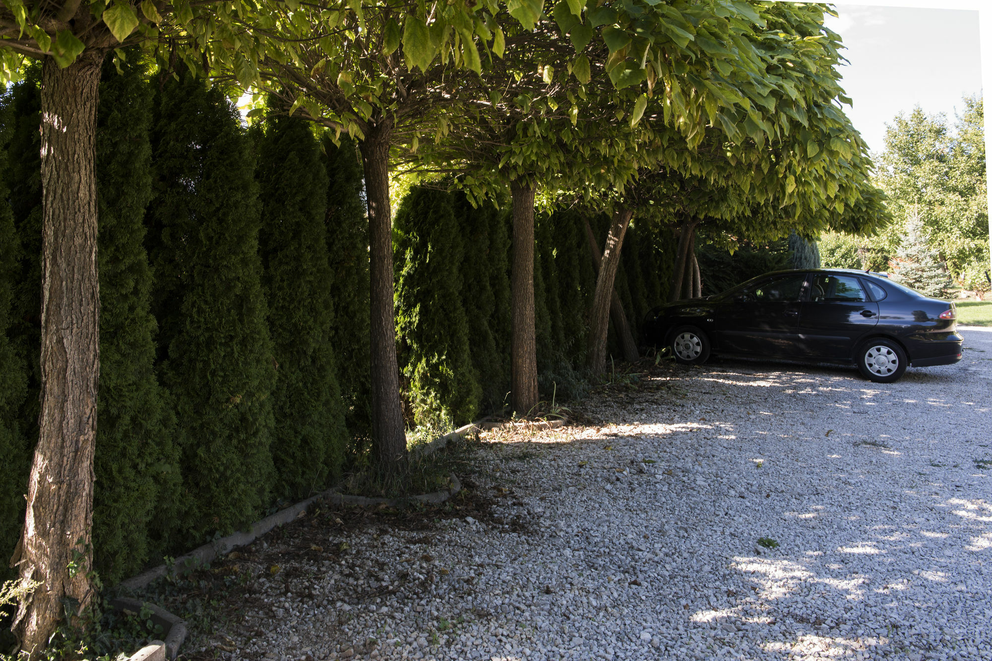 Feng Shui Wellness Apartmanhaz Hévíz Exterior foto