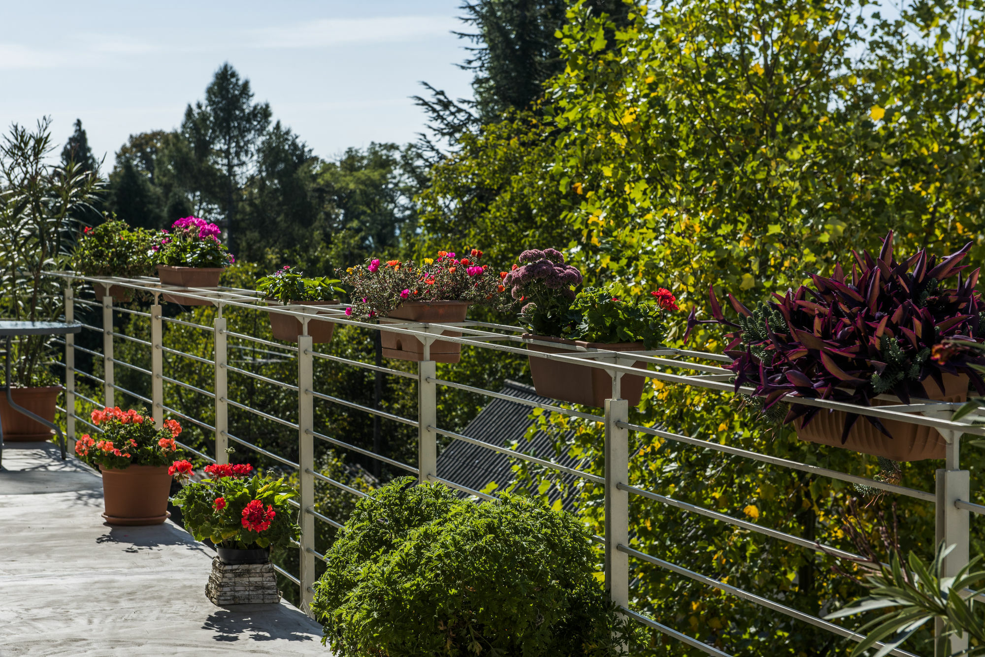 Feng Shui Wellness Apartmanhaz Hévíz Exterior foto